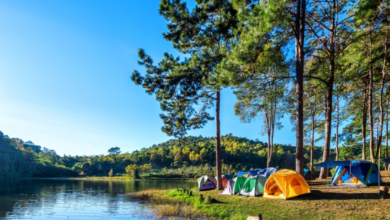 Best Place For Camping In USA