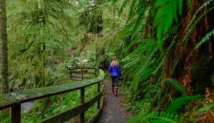 Olympic National Park